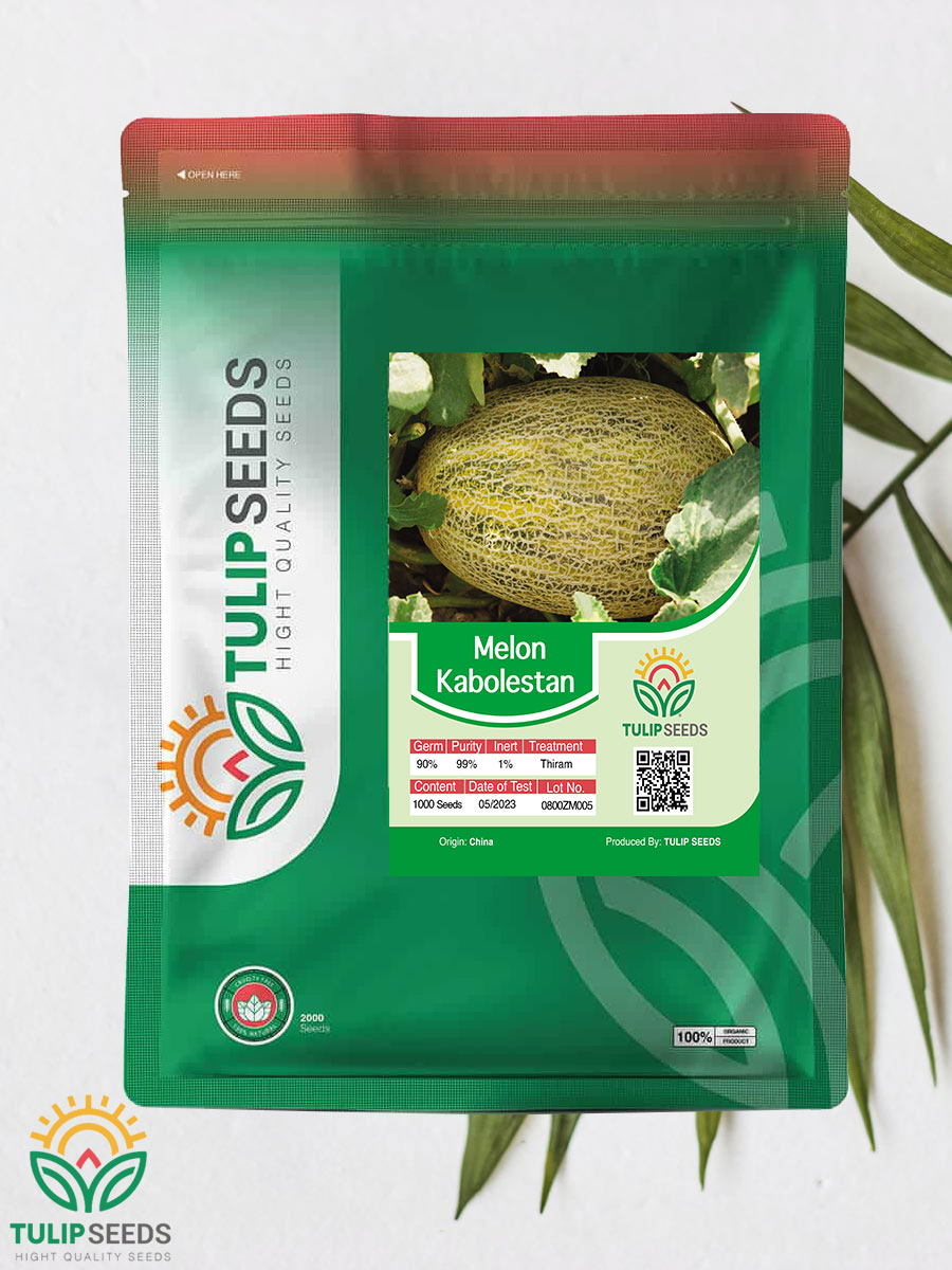 Melon Kabolestan