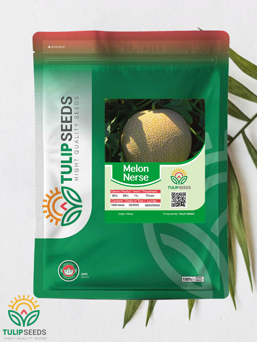 Melon Nerse