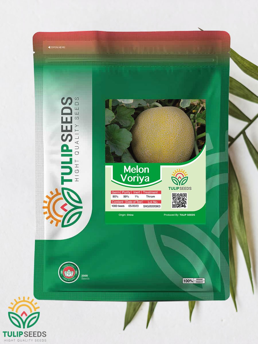 Melon Voriya