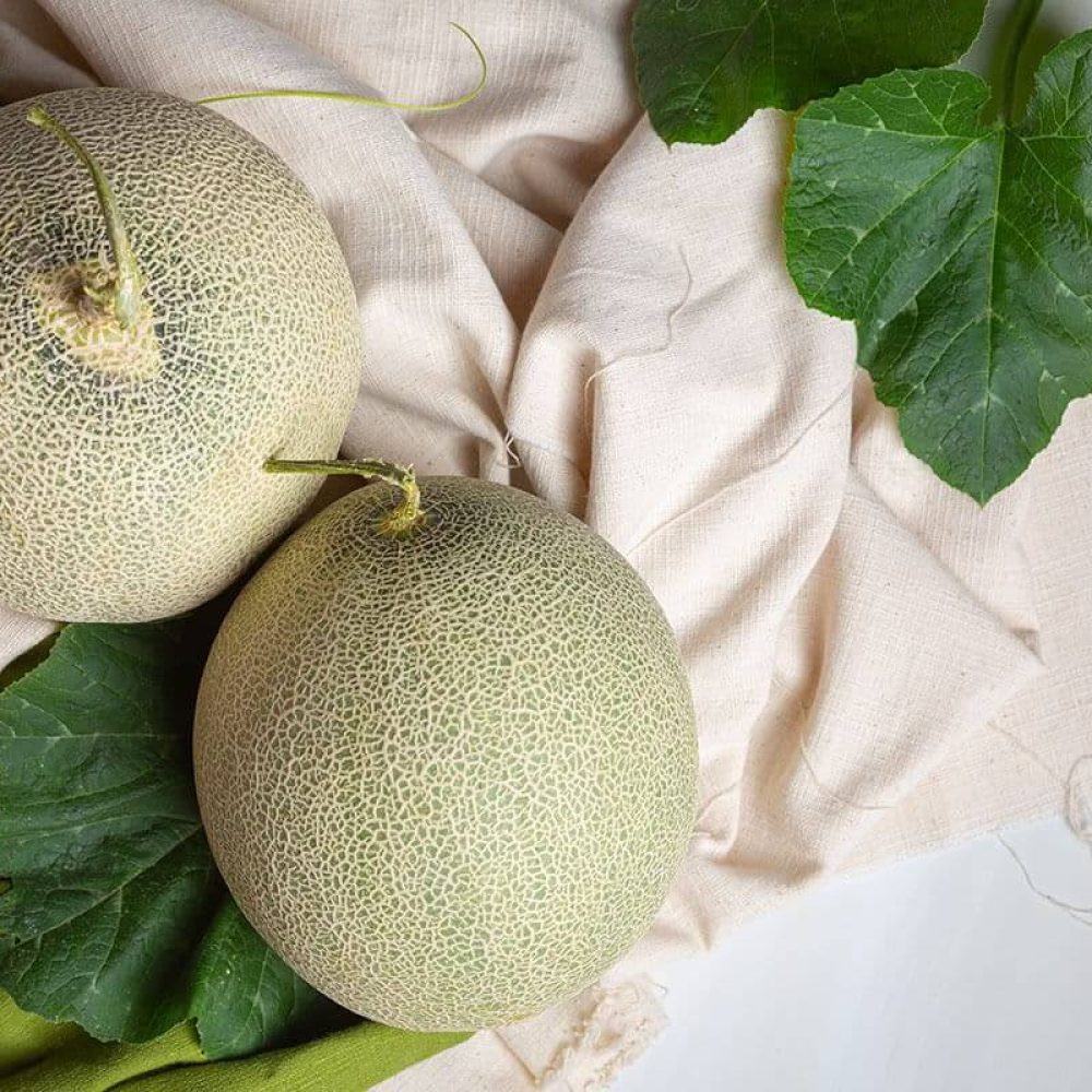 eiliyaseeds-1