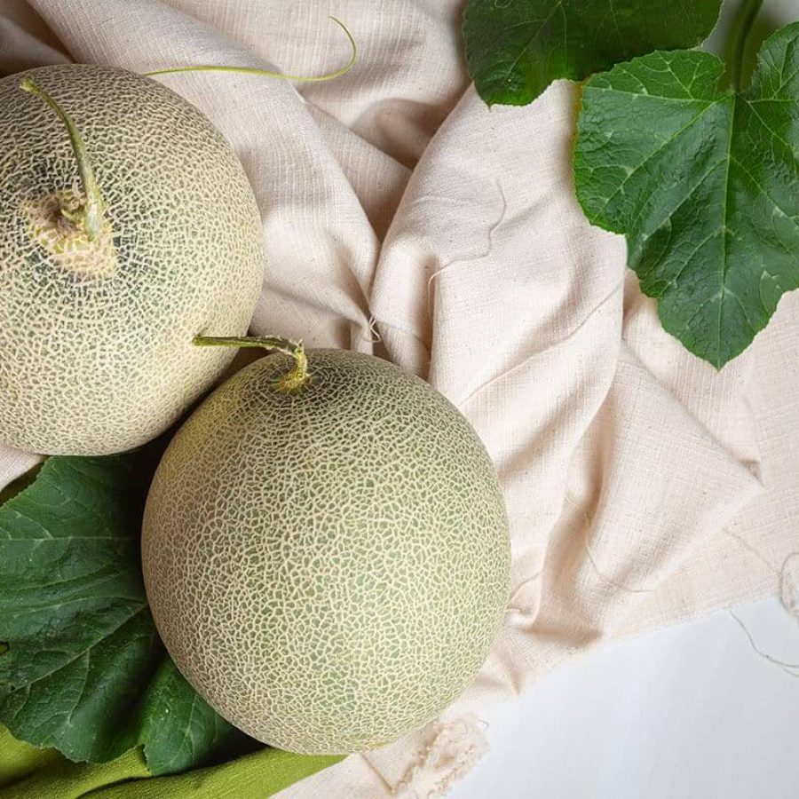 eiliyaseeds-1